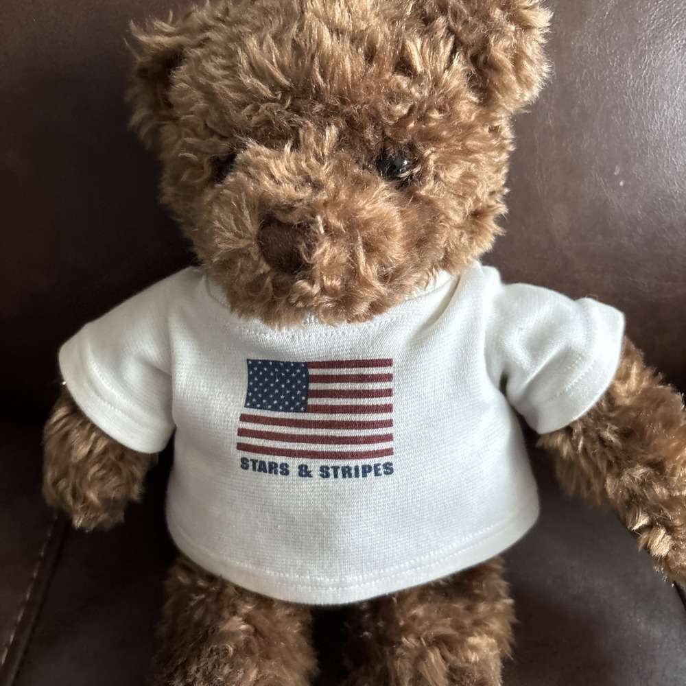 Vintage Gund 2000 15" American Stars & Stripes Hope Joy Love Peace Teddy Bear - Picture 3 of 6